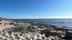 A sandy beach with rocks and seaweed, a clear blue sky, and calm water.