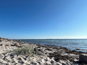 Ein sandiger Strand mit Felsen und Seegras, ein klarer, blauer Himmel und ruhiges Wasser.
