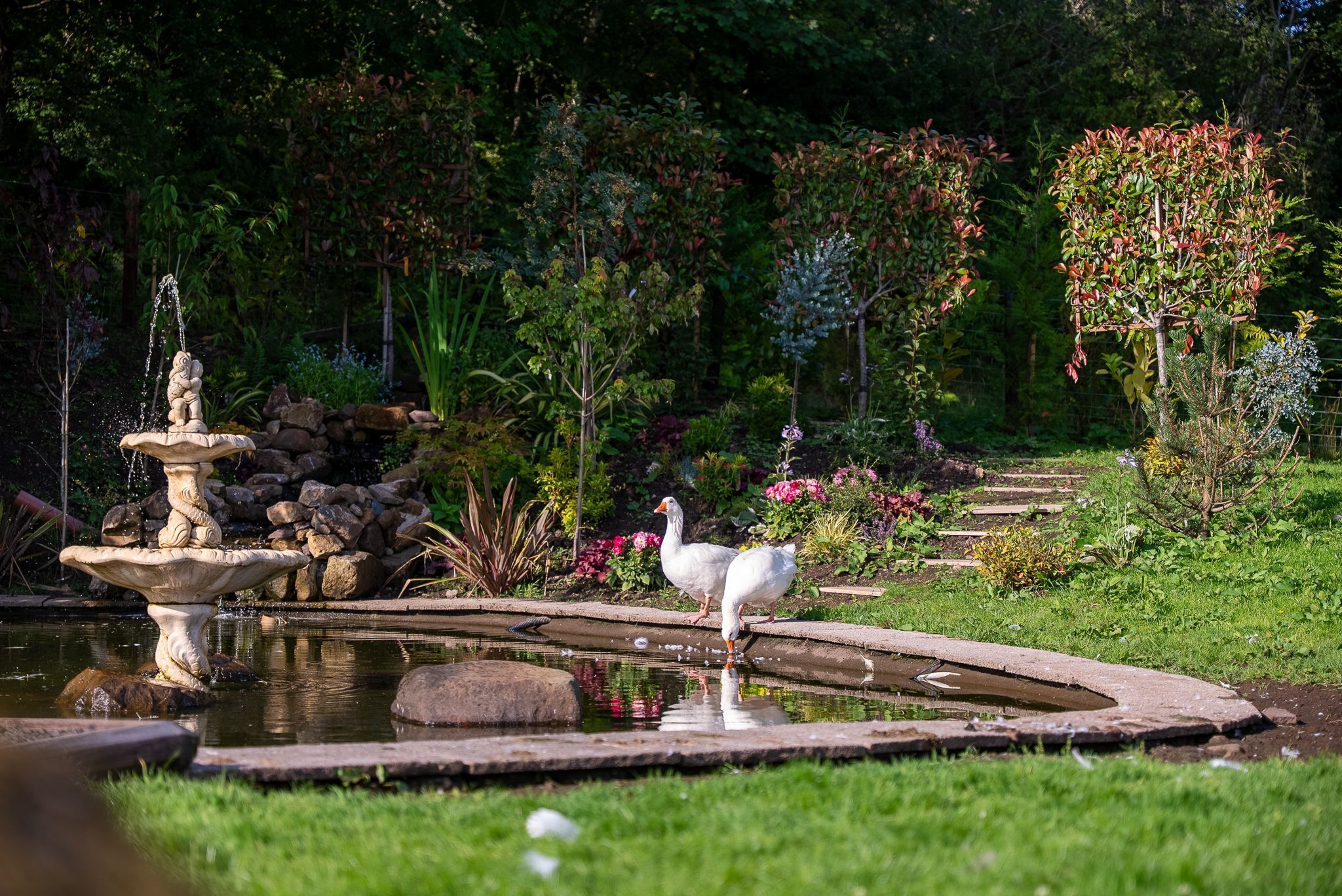 Áreas de la propiedad