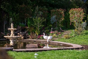 Jardines del alojamiento