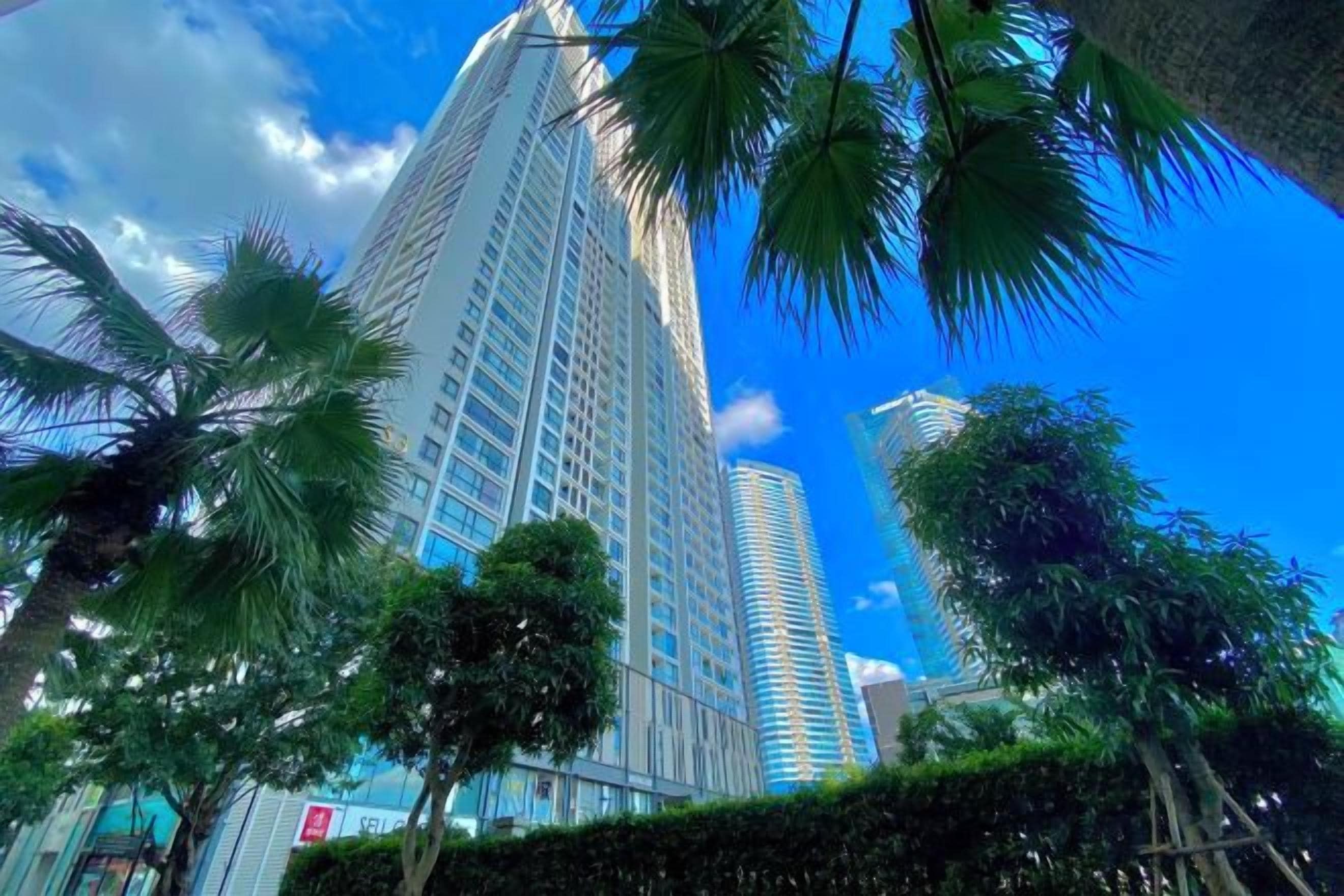 A high-rise building with a clear sky and palm trees in the foreground.