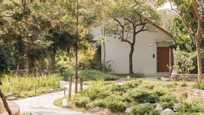 Un chemin menant à un bâtiment entouré d’une végétation luxuriante et d’arbres.