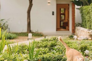 외부 세부 사진