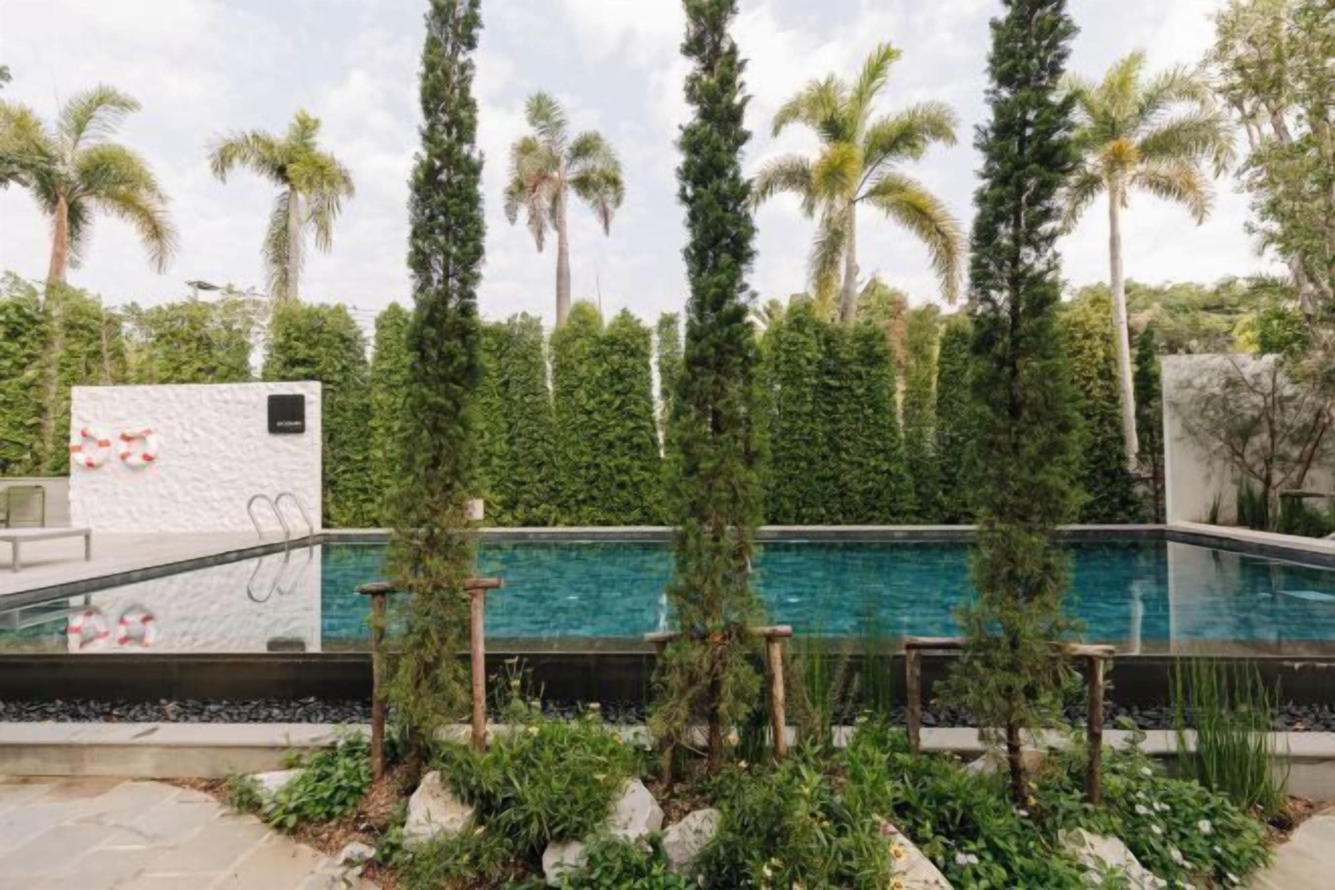 Uma piscina rodeada por palmeiras altas e vegetação exuberante.