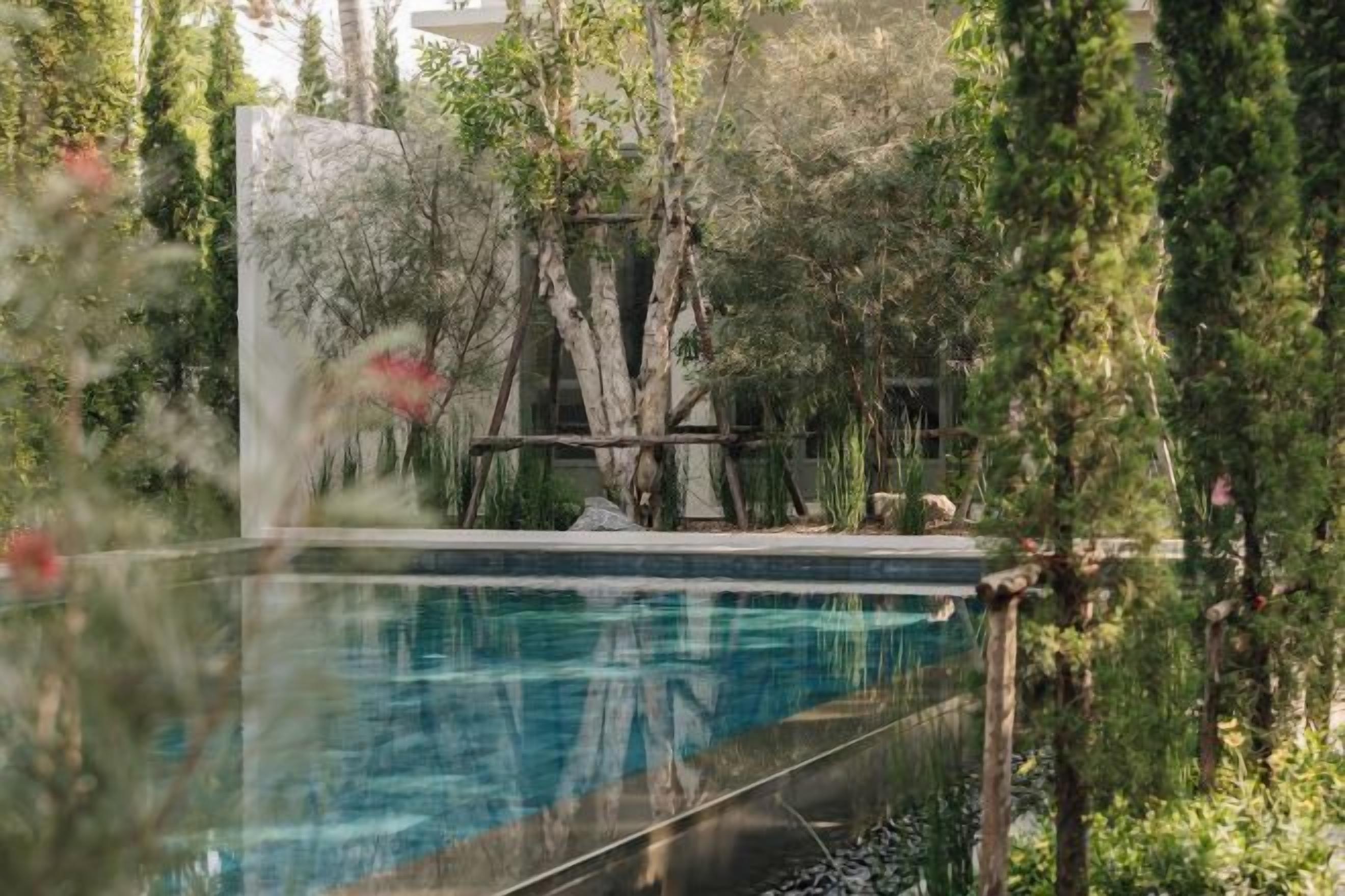 Una piscina con cubierta de madera y abundante vegetación.