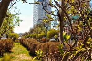 Camí vorejat per albors i arbres ben tallats, que condueix a un edifici amb teulada tradicional.