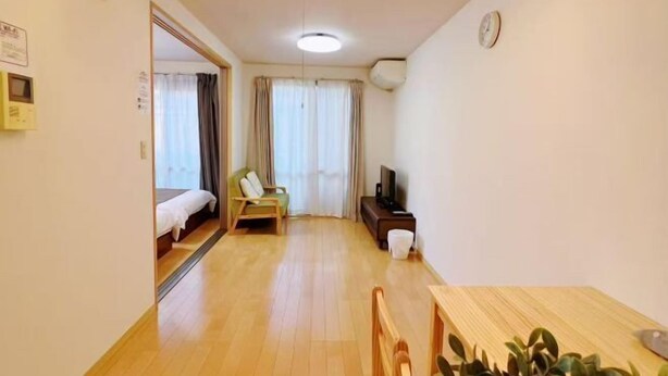 Habitació amb llit, escriptori, cadira, televisió i planta.