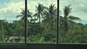 Vista a través de una ventana con palmeras y un edificio de techo rojo al fondo.