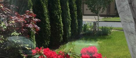 Terrain de lâhĂ©bergement