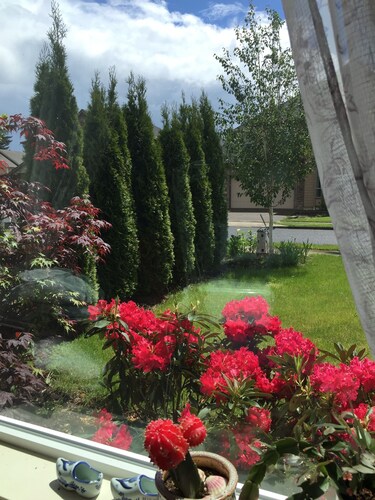 Rose Garden 4-bedroom House/AC in Vancouver