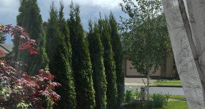 Rose Garden 4-bedroom House/AC in Vancouver