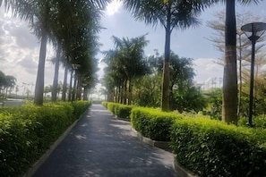 A pathway lined with palm trees and bushes, leading towards a distant building.