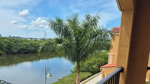 Un balcón con vistas a un lago tranquilo, rodeado de vegetación y una palmera.