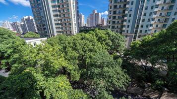 Superior Apartment, 1 Bedroom, Kitchen, City View | View from room