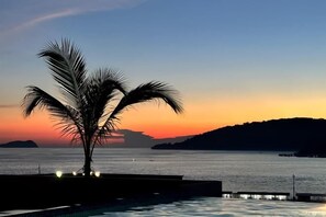 Vista al atardecer con una palmera y un cuerpo de agua.