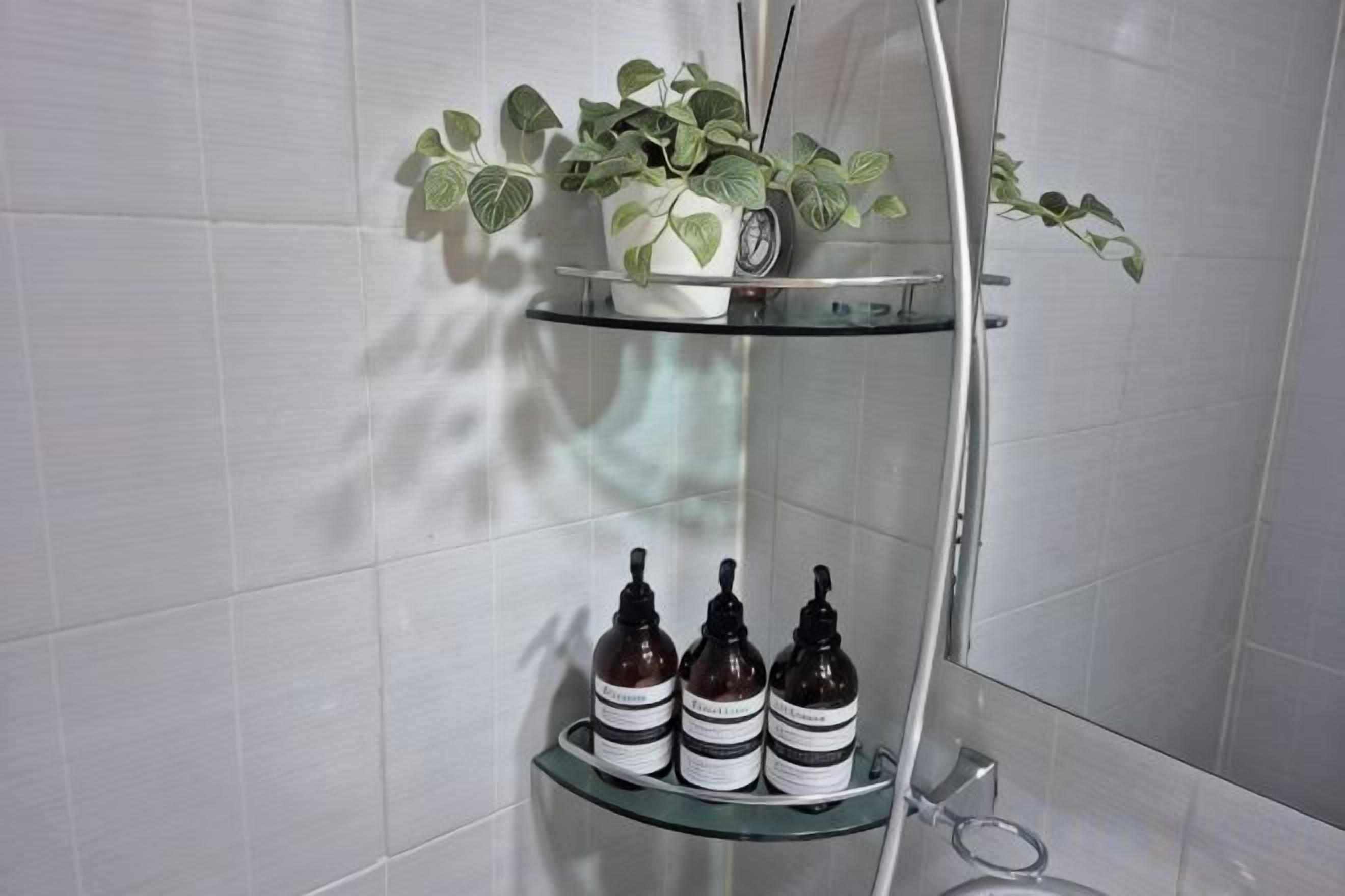 Baño con repisa de vidrio que sostiene una planta en maceta y tres botellas.