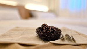 Una piña de pino y plumas dispuestas ordenadamente sobre un paño color beige en una habitación con fondo desenfocado.