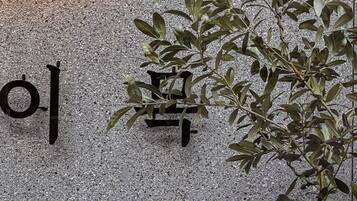 Una pared con un letrero negro grande y una planta de hojas verdes.