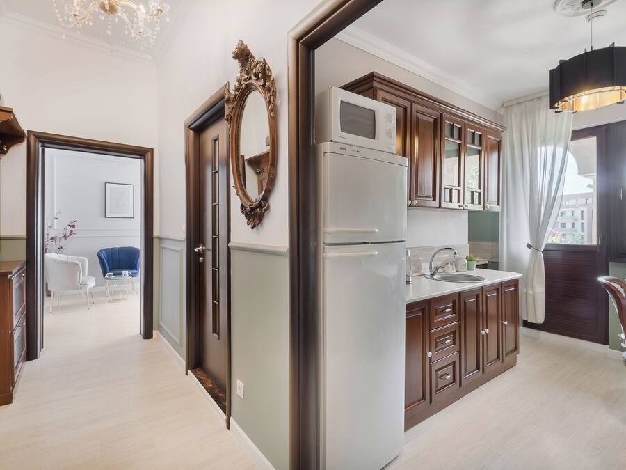 Deluxe Apartment, Balcony, City View | Private kitchen | Espresso maker, spices, cleaning supplies, freezer