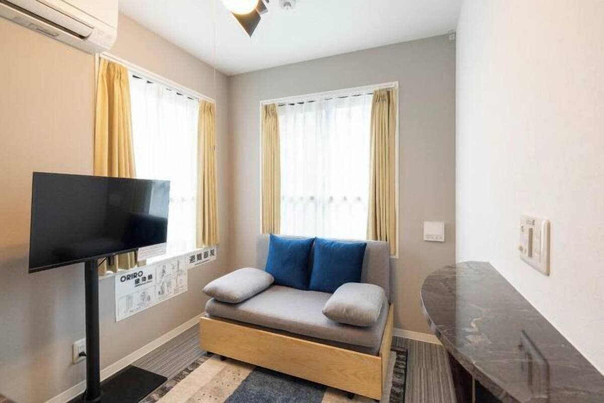 Una habitación con sofá cama, televisor de pantalla plana y dos ventanas con cortinas.