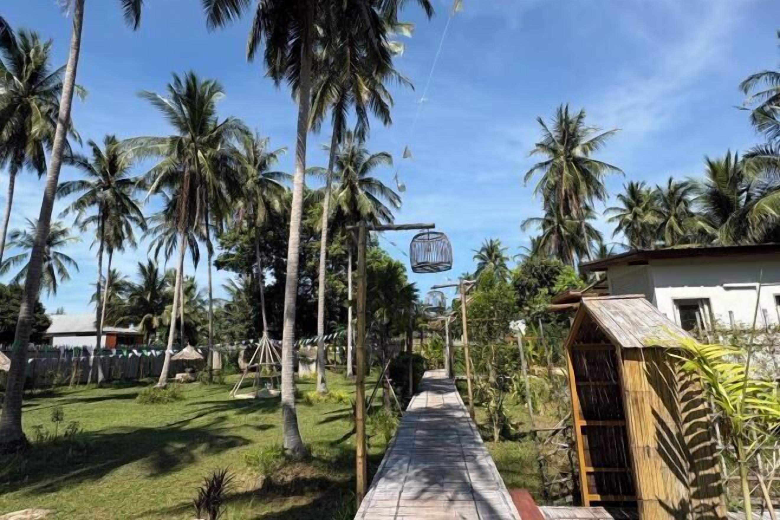 الإطلالة من المنشأة