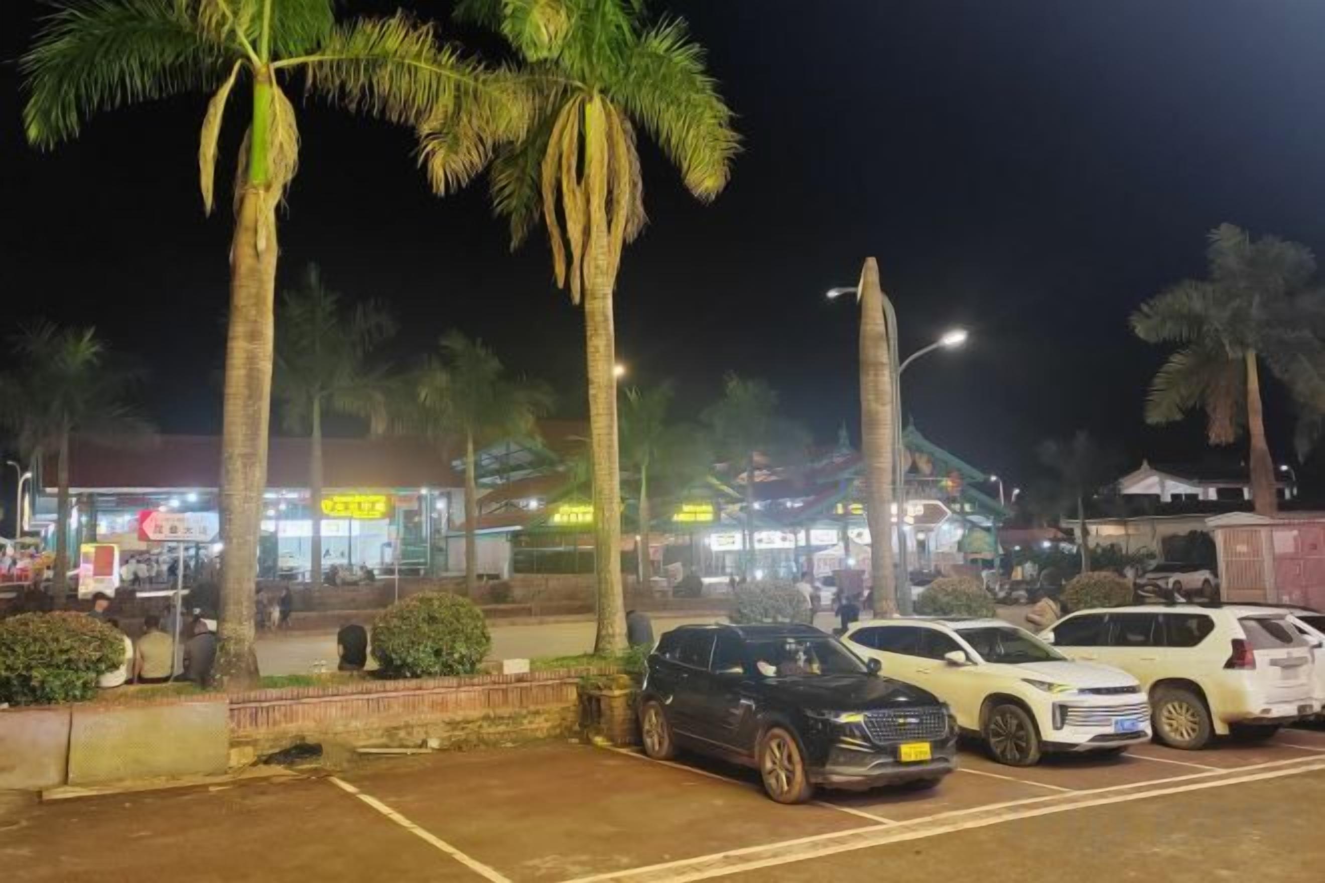 A parking lot with several cars, palm trees, and illuminated storefronts at night.