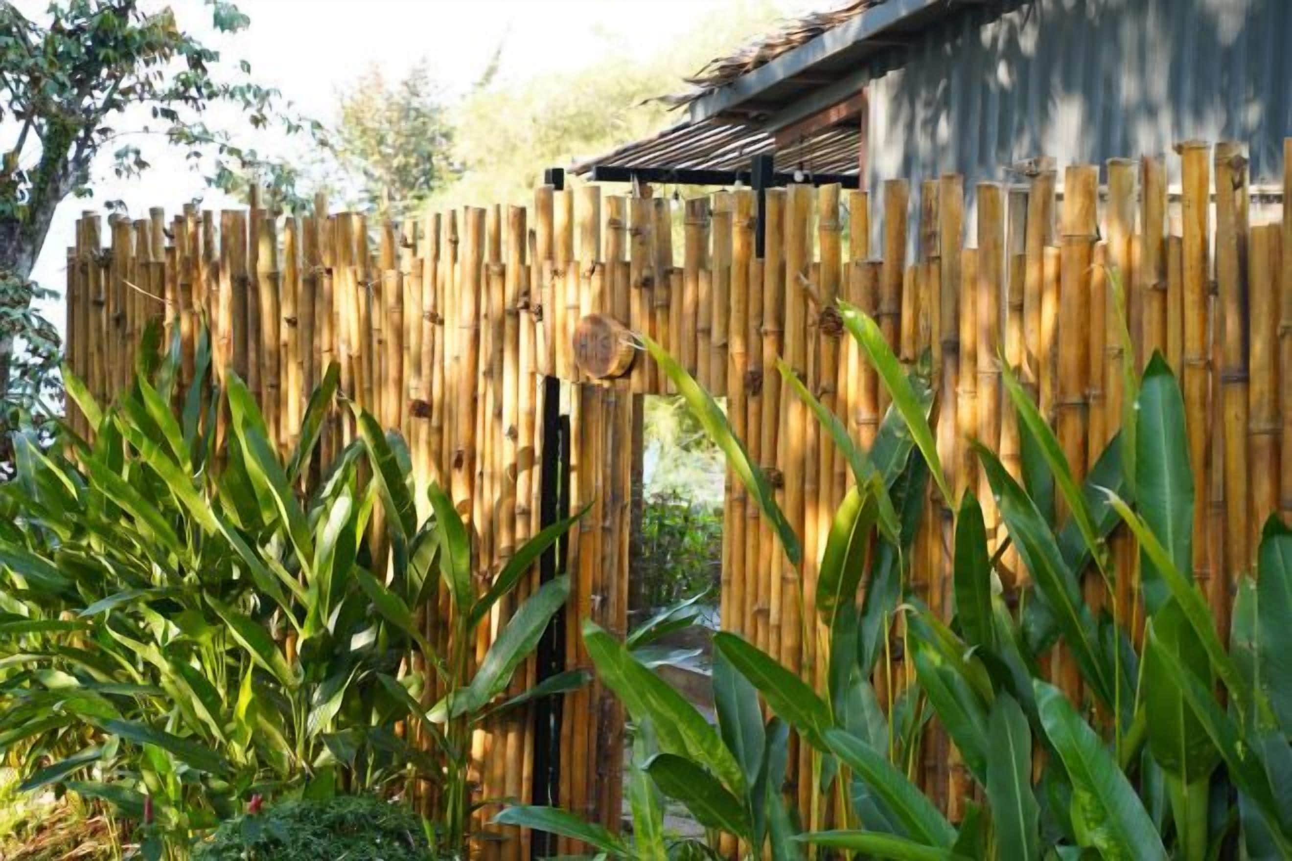 A bamboo fence with a partially visible building behind it.