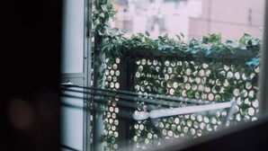 A window with a view of a balcony covered in greenery. - Minimalist Loft 8: Namba Compact Studio & 24/7 Gym (Osaka)