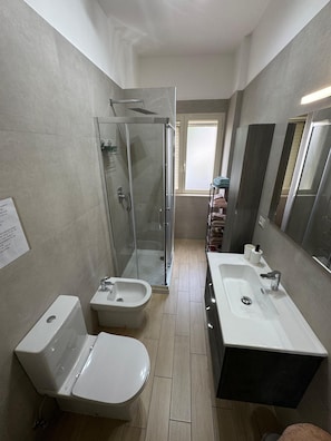 Shower, hair dryer, bidet, towels