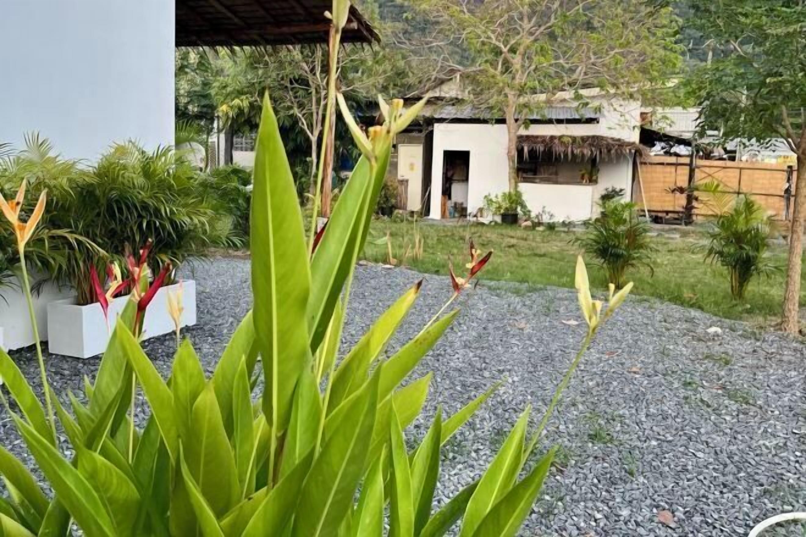 Jardines del alojamiento