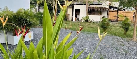 Área da propriedade