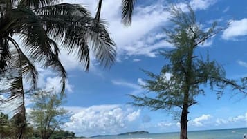 Uma praia com palmeiras, céu claro e vista para o oceano.