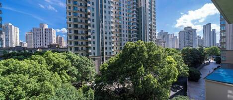 Vista desde la habitación