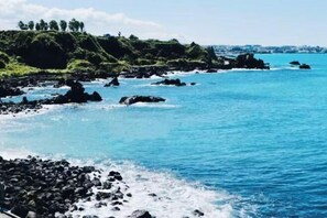 Room - MoonStay Avenue (Jeju)