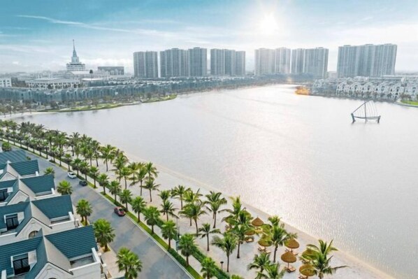 Propiedad frente al agua con una hilera de edificios modernos, un río y un paseo marítimo bordeado de palmeras.