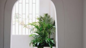 Un arco de entrada con un cartel de 'No Smoking', una planta en maceta y una ventana con barrotes.