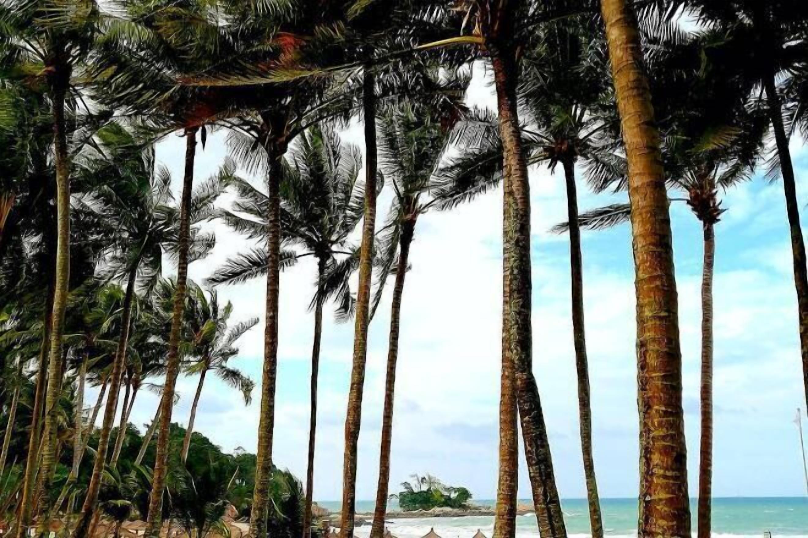 Private beach nearby, snorkeling, beach volleyball