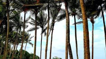 Private beach nearby, snorkeling, beach volleyball