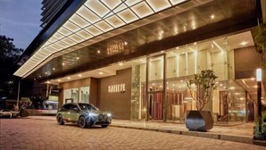 Moderne hotelinrit met glazen gevel, een auto ervoor en een grote potplant naast de ingang.