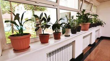 A row of potted plants on a white radiator.