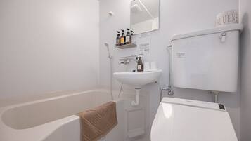 Combined shower/tub, hair dryer, bidet, towels