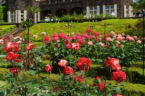 A garden with red and pink roses in front of a building with arched windows. - Maison de Takinogawa (Tokyo)