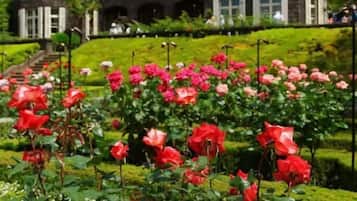 Jardines del alojamiento