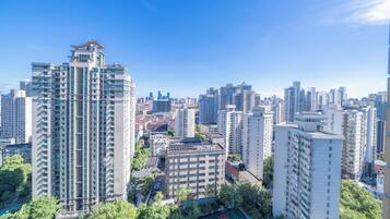 Superior Apartment, 2 Bedrooms, Kitchen, City View | View from room