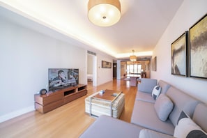 Superior Apartment, 2 Bedrooms, Kitchen, City View | Living room | Smart TV
