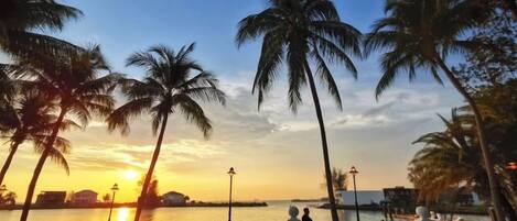 A beach scene with palm trees, a sunset, and a calm sea.