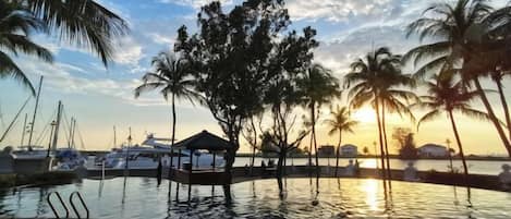 A marina with boats, a swimming pool, and palm trees.