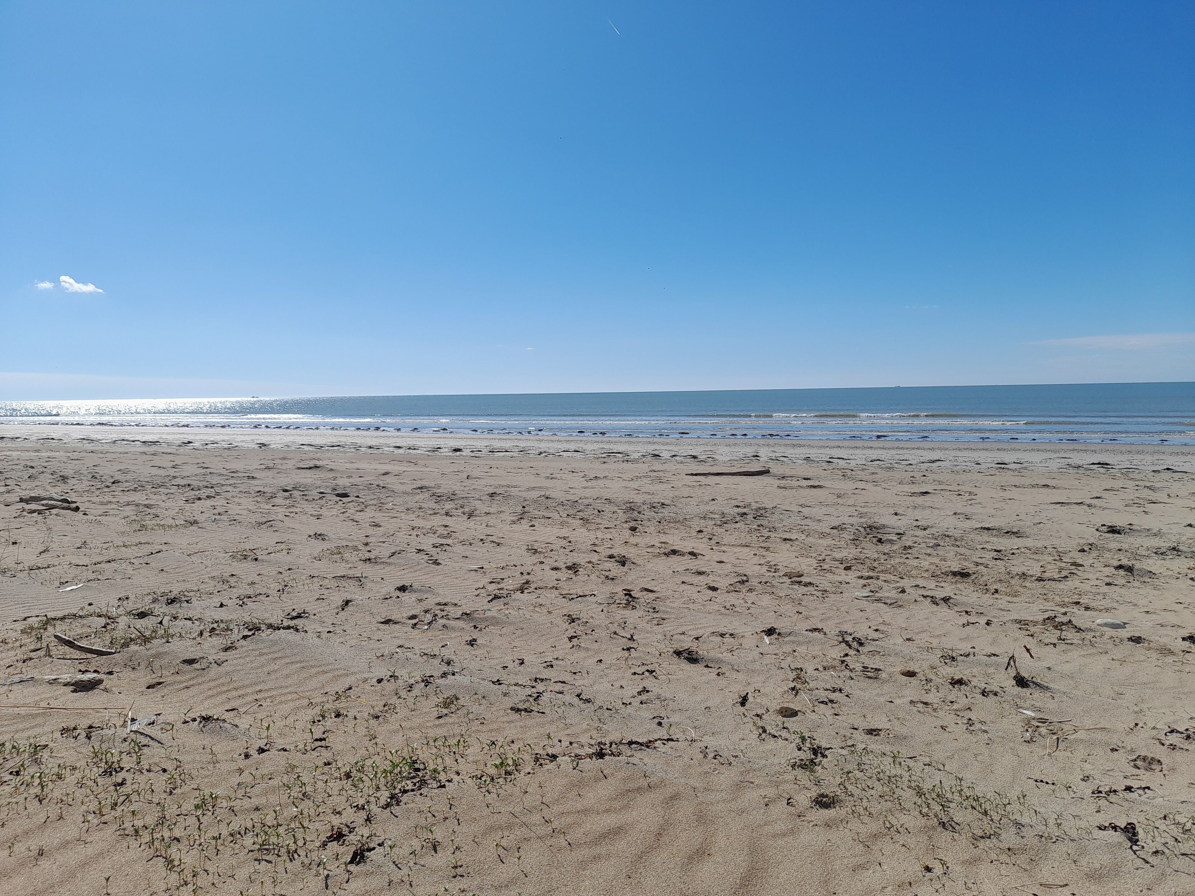 بالقرب من الشاطئ، كراسي للتشمس