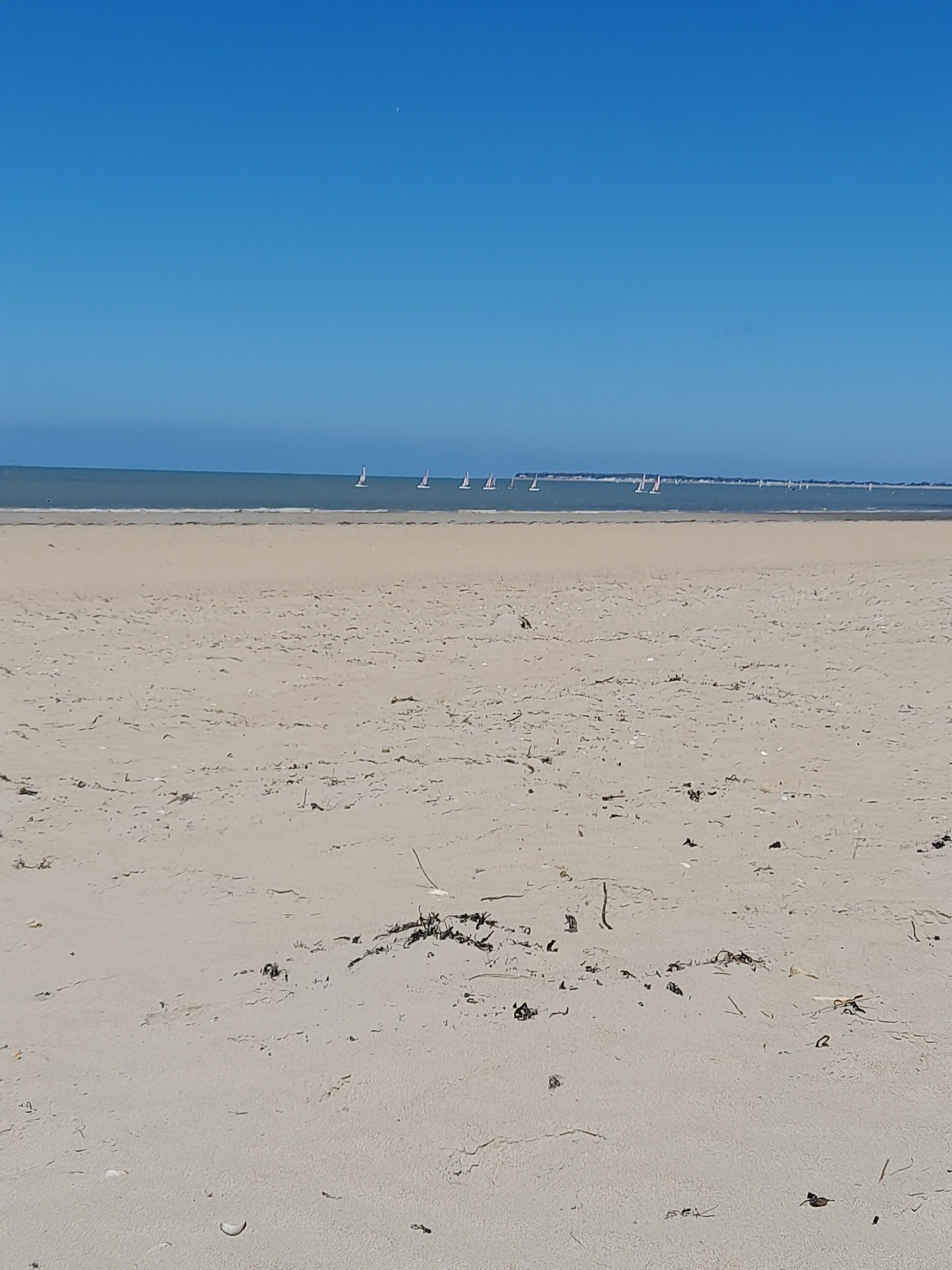 بالقرب من الشاطئ، كراسي للتشمس