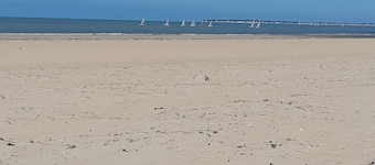 House on the island of noirmoutier